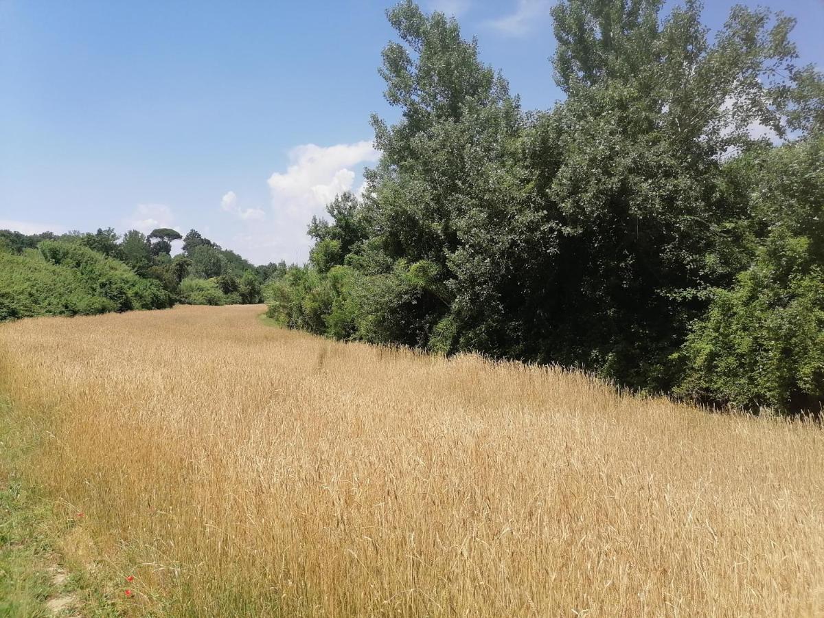 Appartement Az.Agricola Agriturismo La Locanda Di Lann à Fucecchio Extérieur photo