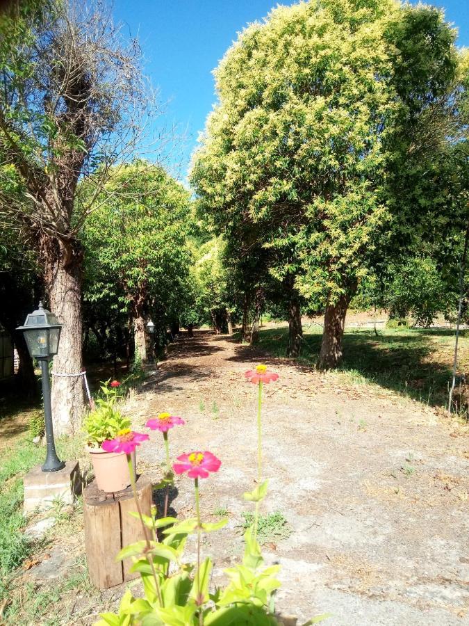 Appartement Az.Agricola Agriturismo La Locanda Di Lann à Fucecchio Extérieur photo