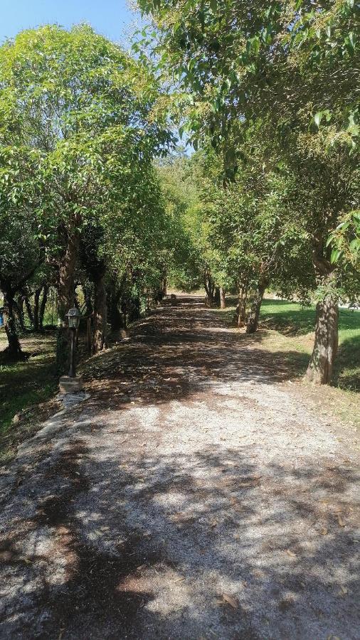 Appartement Az.Agricola Agriturismo La Locanda Di Lann à Fucecchio Extérieur photo