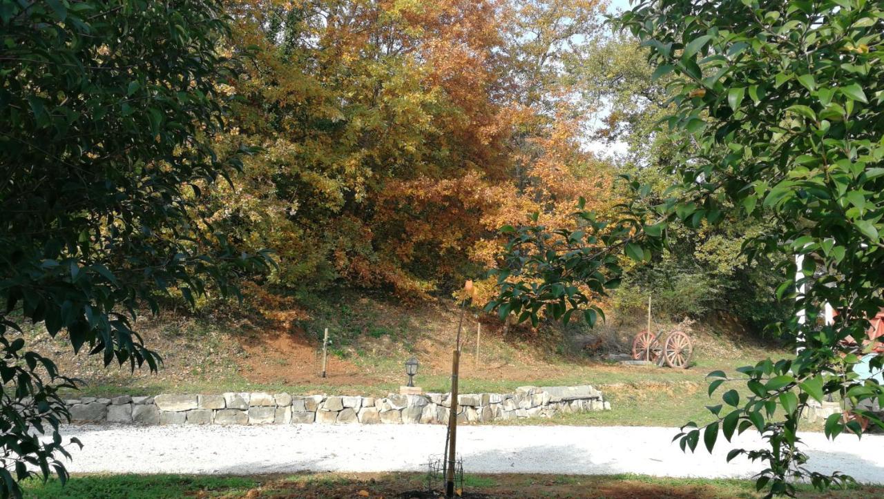 Appartement Az.Agricola Agriturismo La Locanda Di Lann à Fucecchio Extérieur photo