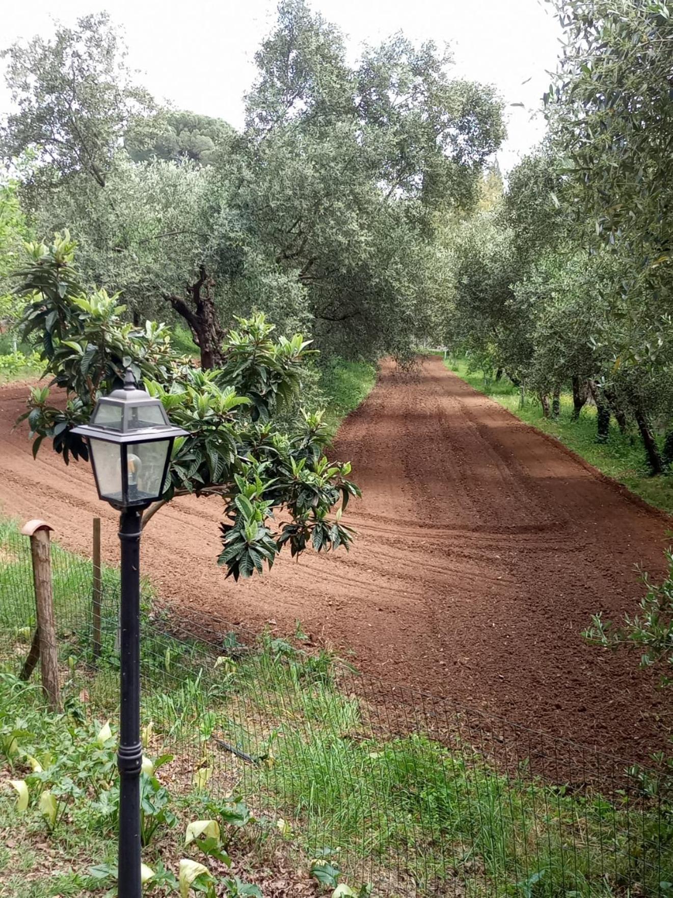 Appartement Az.Agricola Agriturismo La Locanda Di Lann à Fucecchio Extérieur photo