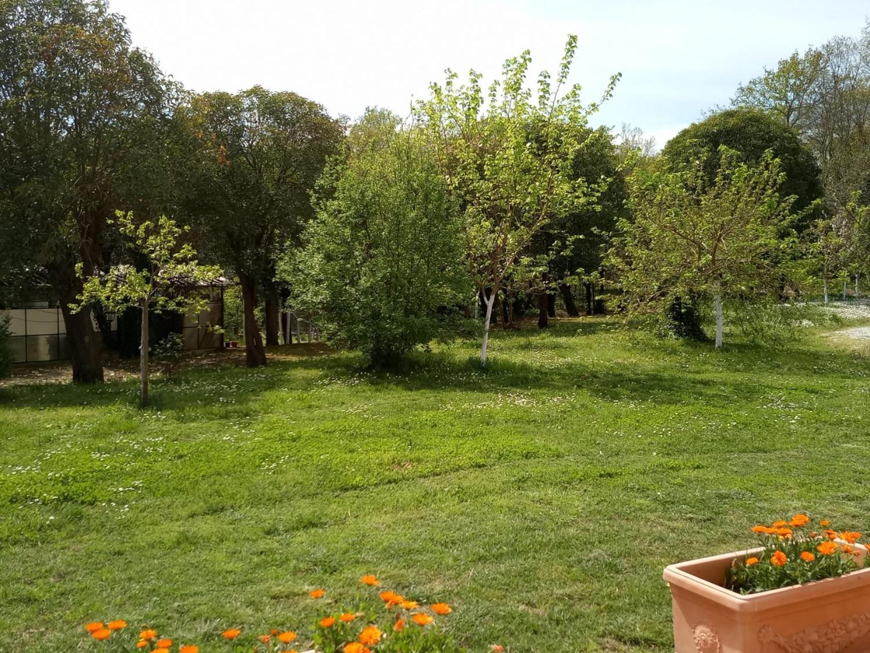 Appartement Az.Agricola Agriturismo La Locanda Di Lann à Fucecchio Extérieur photo