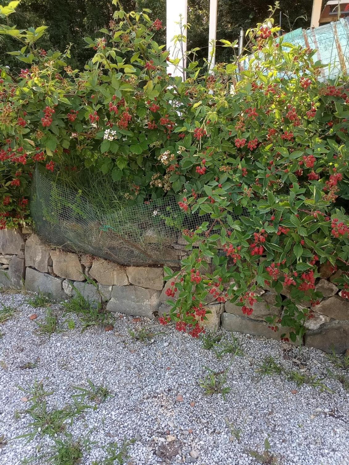 Appartement Az.Agricola Agriturismo La Locanda Di Lann à Fucecchio Extérieur photo